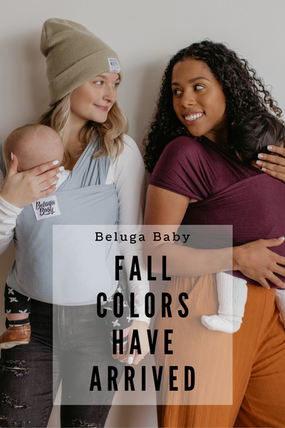 Fall Colors Have Launched!